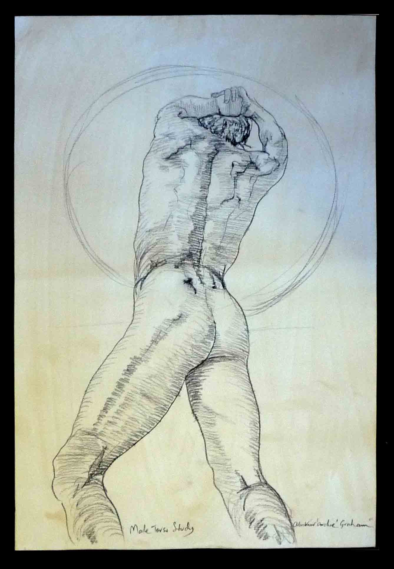 male torso sketch